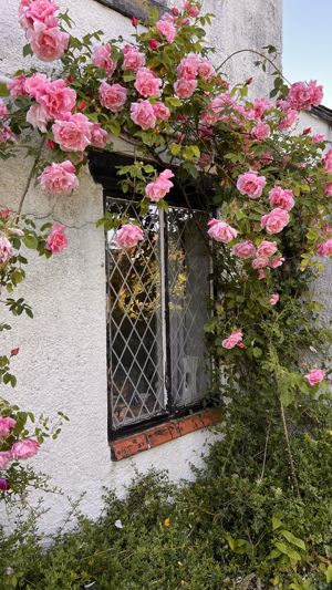 Photo 28- click for photo gallery